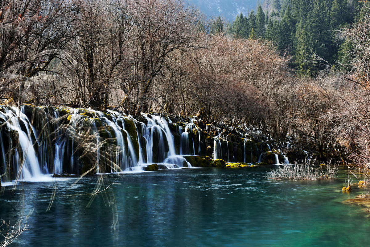 dsc_2568.jpg