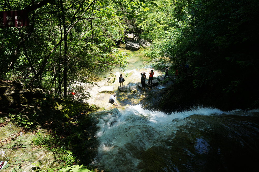 dsc02298_.jpg