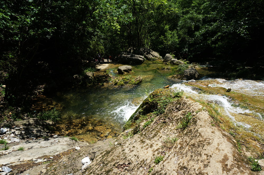 dsc02303_.jpg