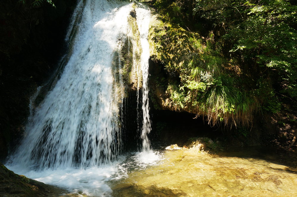 dsc02306_.jpg