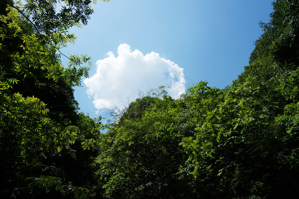 dsc02307_.jpg