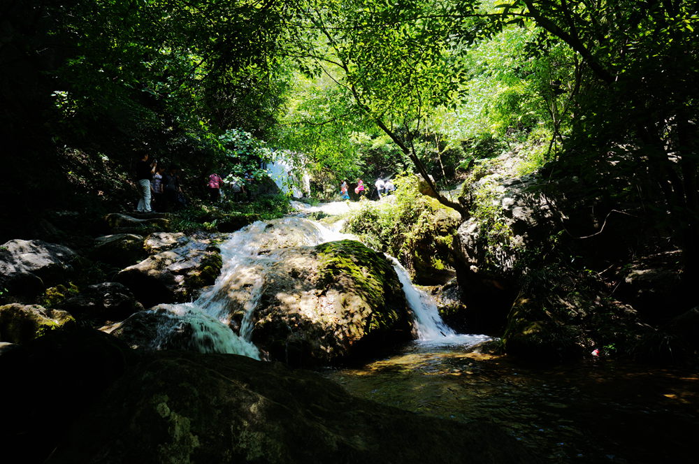 dsc02310_.jpg