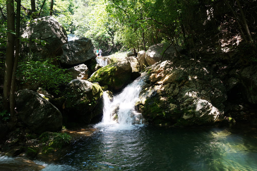 dsc02311_.jpg