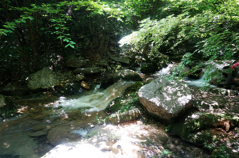 dsc02316_.jpg