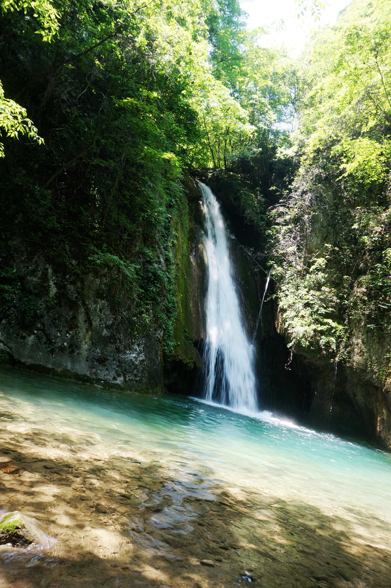 dsc02325_.jpg