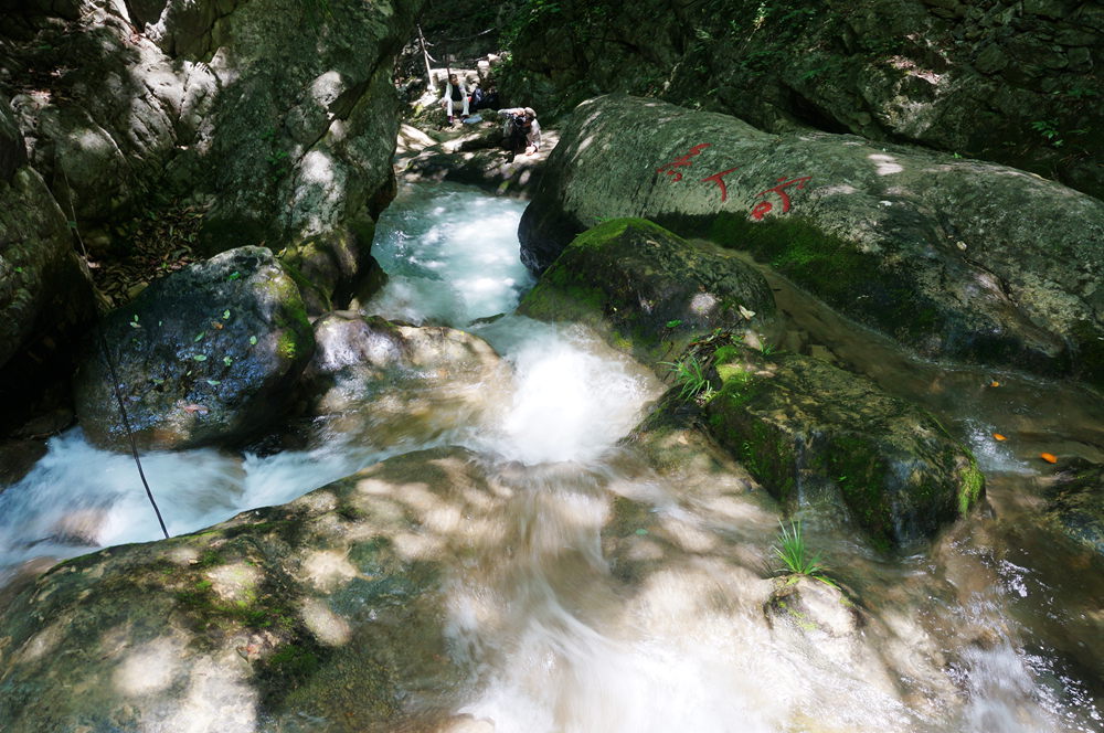 dsc02326_.jpg