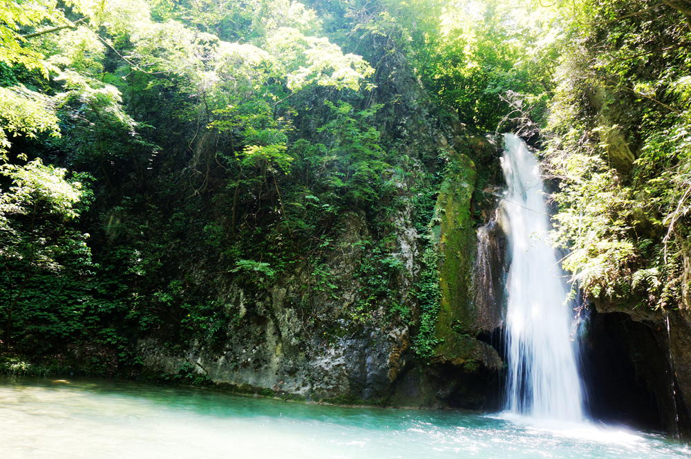 dsc02329_.jpg