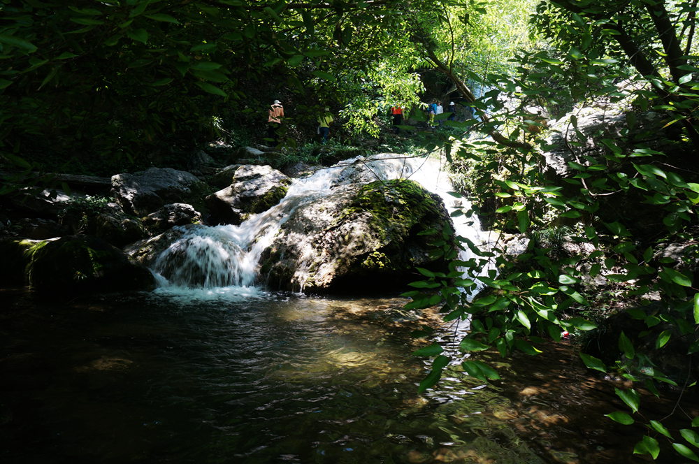 dsc02333_.jpg