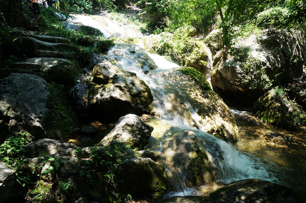 dsc02335_.jpg