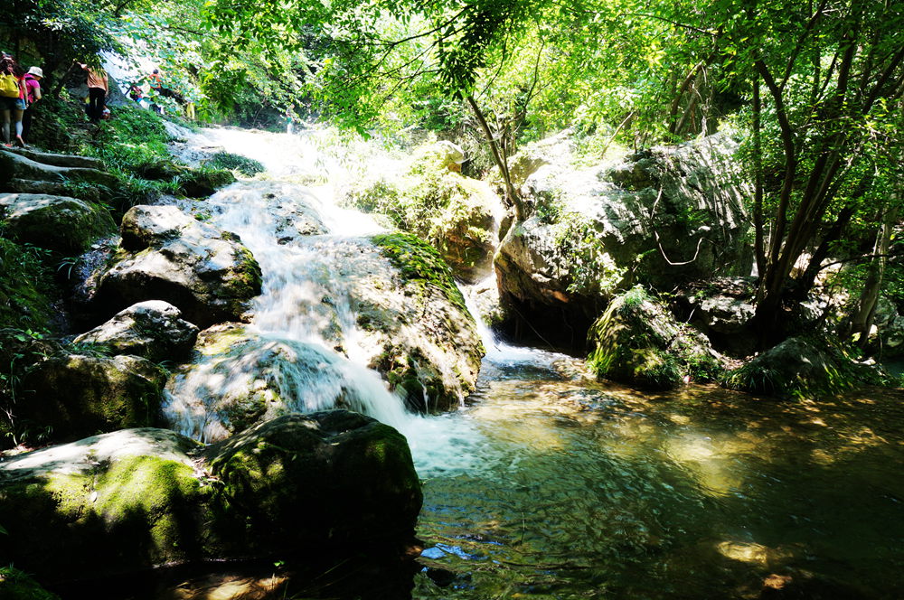 dsc02334_.jpg