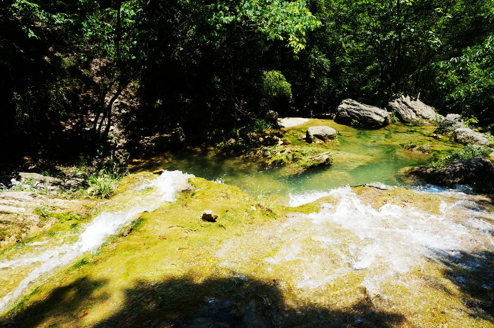 dsc02340_.jpg