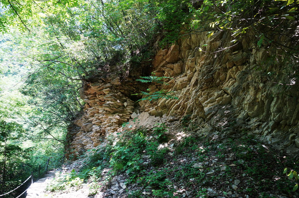 dsc02348_.jpg