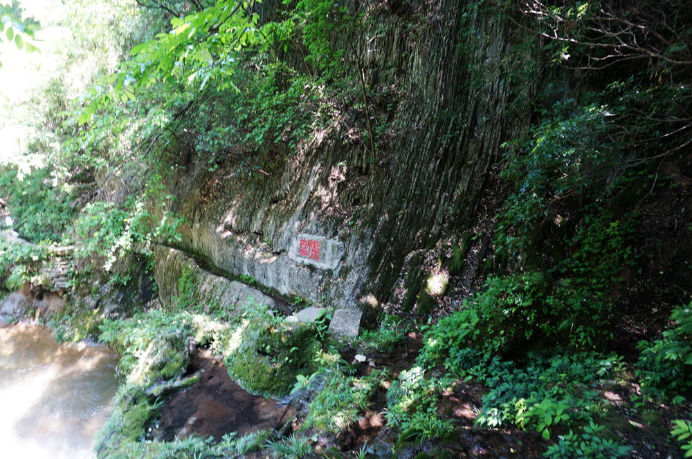dsc02350_.jpg