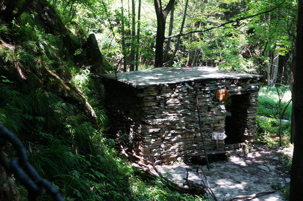 dsc02351_.jpg