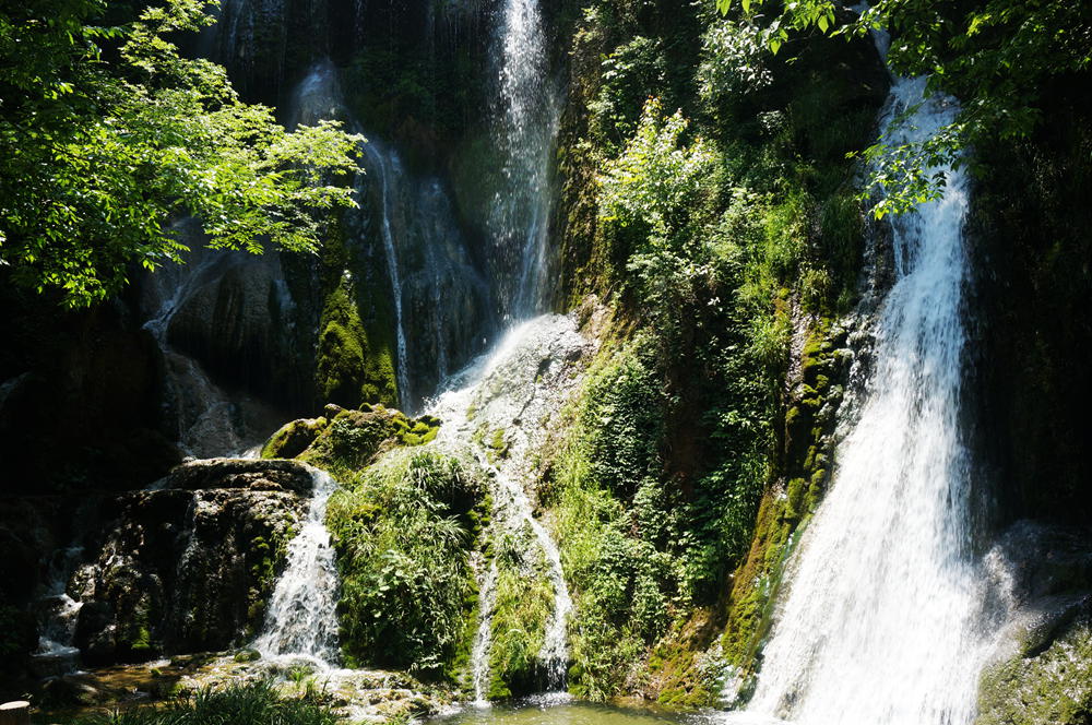dsc02353_.jpg