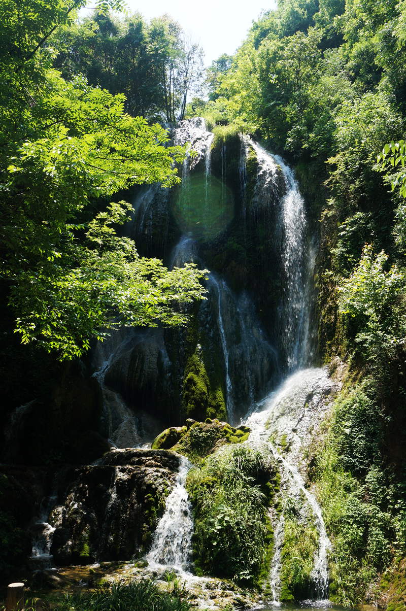 dsc02354_.jpg