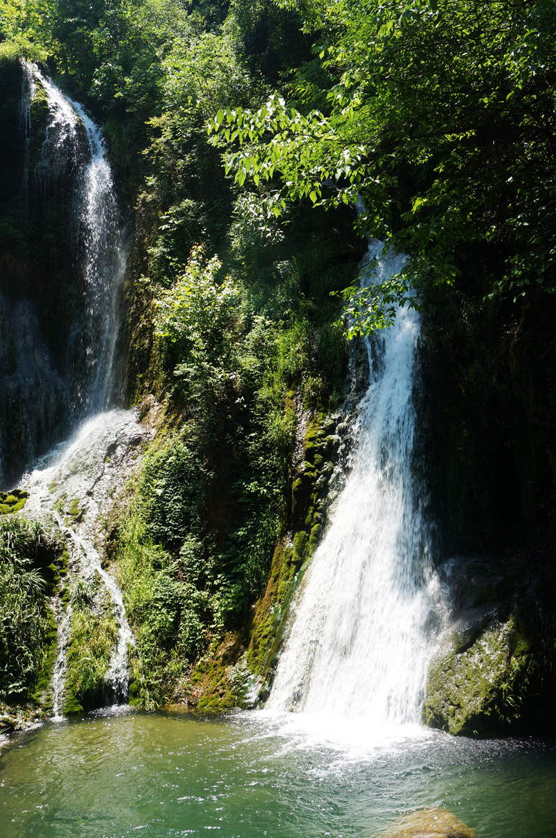 dsc02355_.jpg