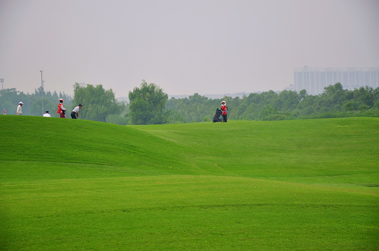 dsc_0489_.jpg