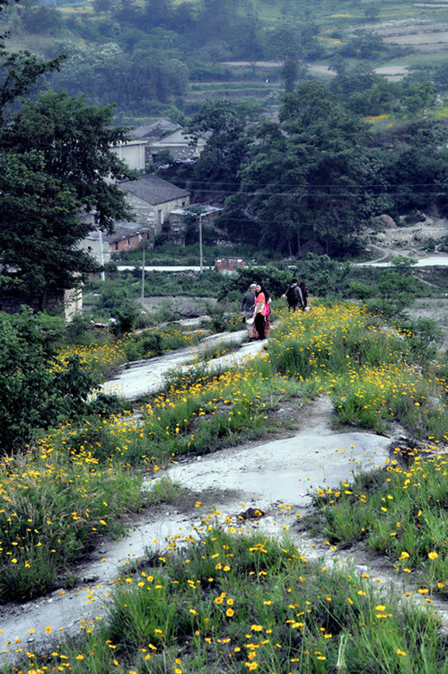 dsc_0347.jpg