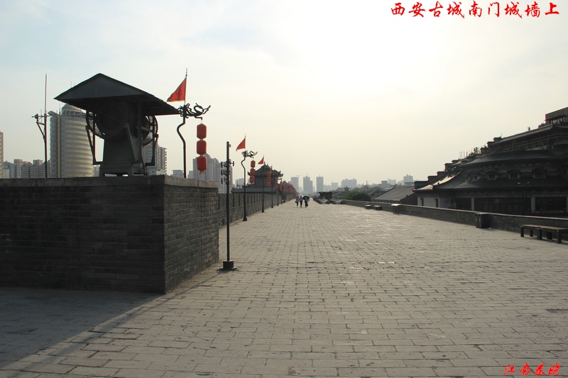 neo_img_ 963.jpg
