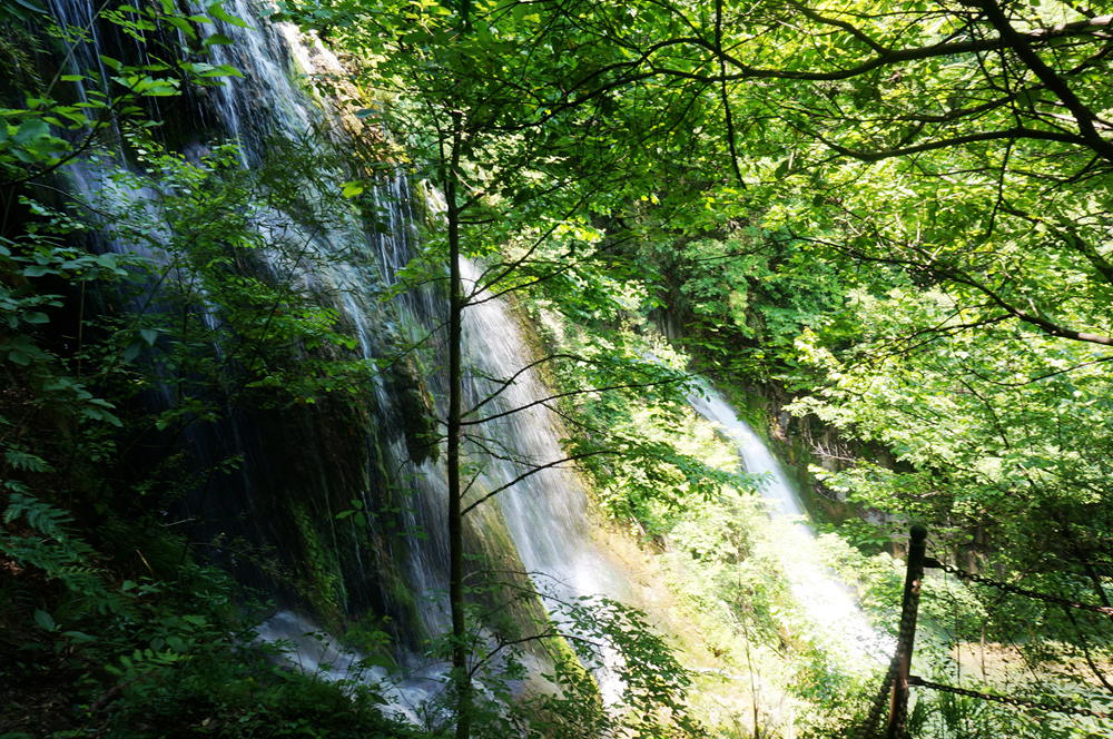 dsc02358_.jpg