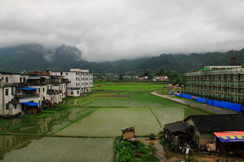 img_2665.jpg