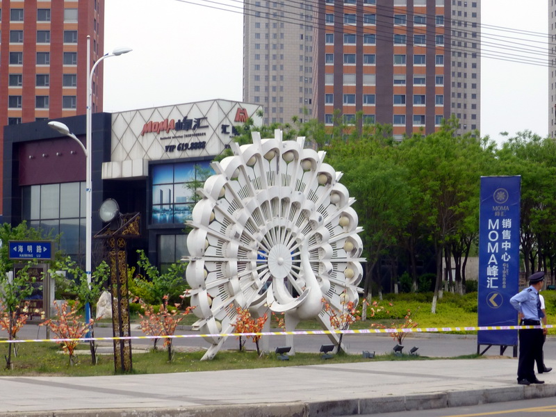 p1070433.jpg