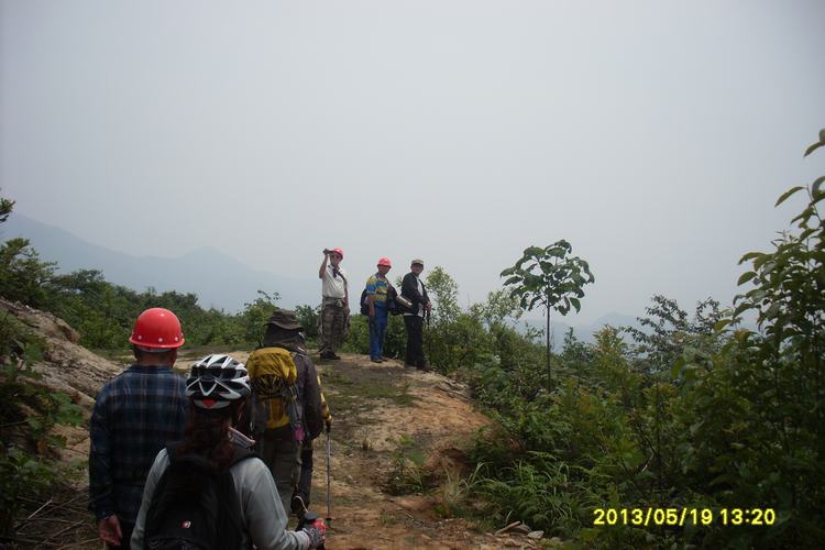 sl383632.jpg