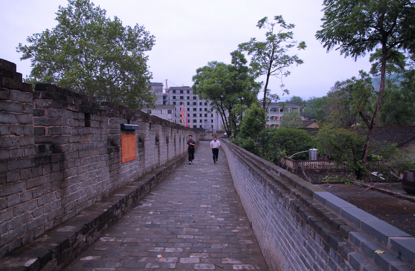 z9.jpg