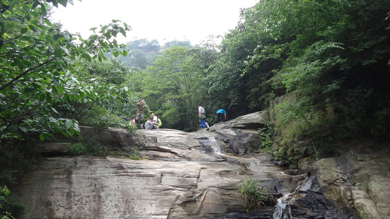 dsc09560_.jpg