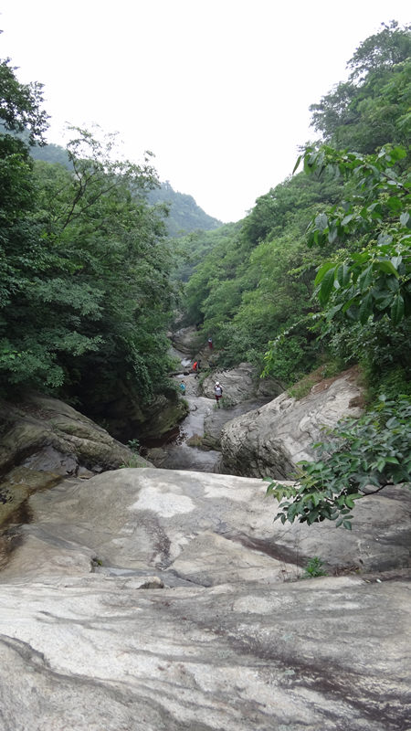 dsc09564_.jpg