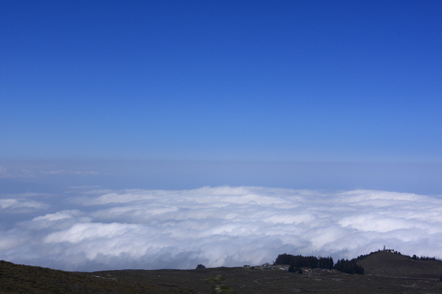 img_7436.jpg