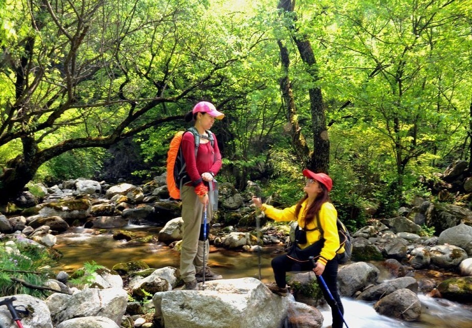 qqͼƬ20130531001736.jpg
