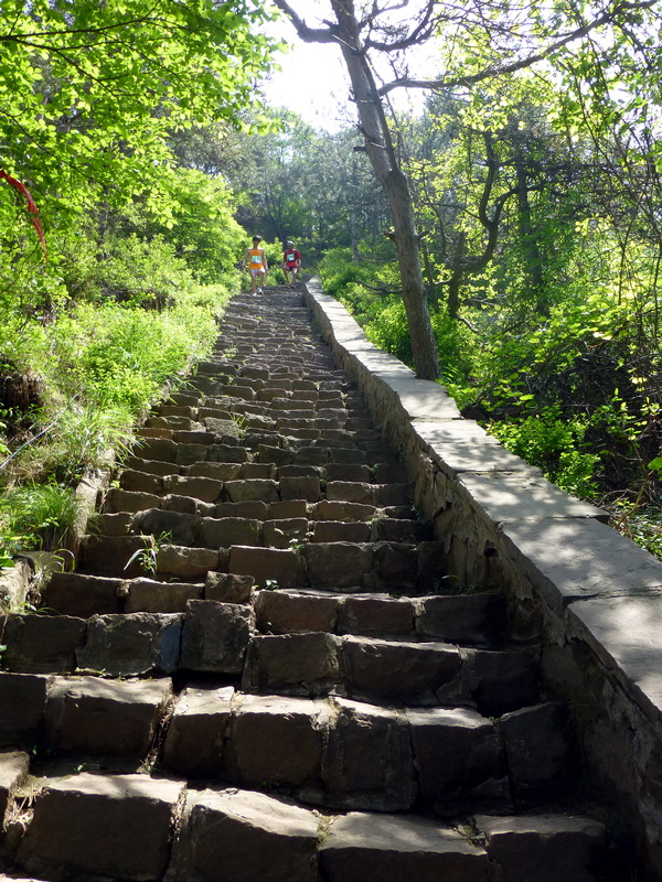p1070619.jpg