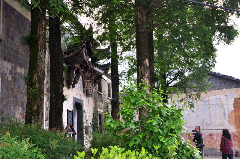 dsc_0017.jpg