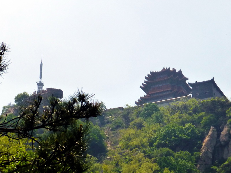 p1070623.jpg