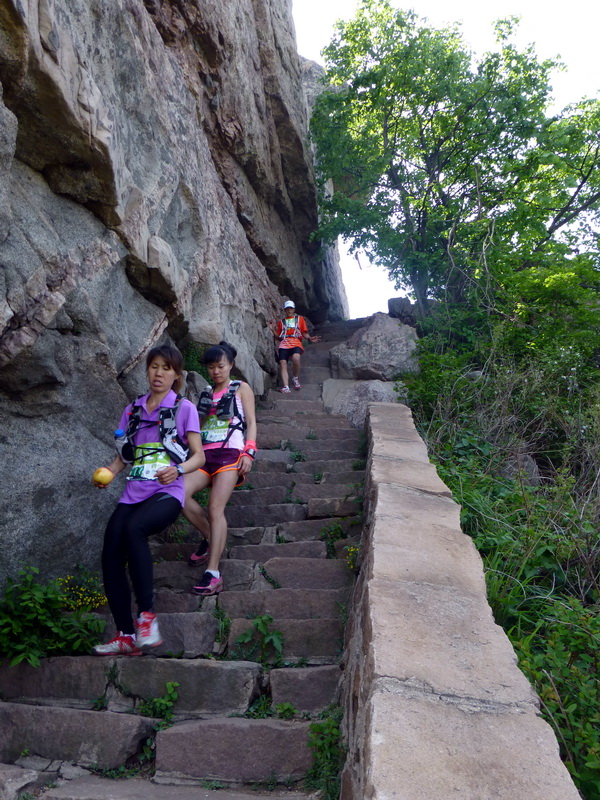 p1070639.jpg
