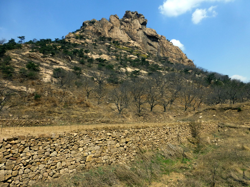 p1050606.jpg