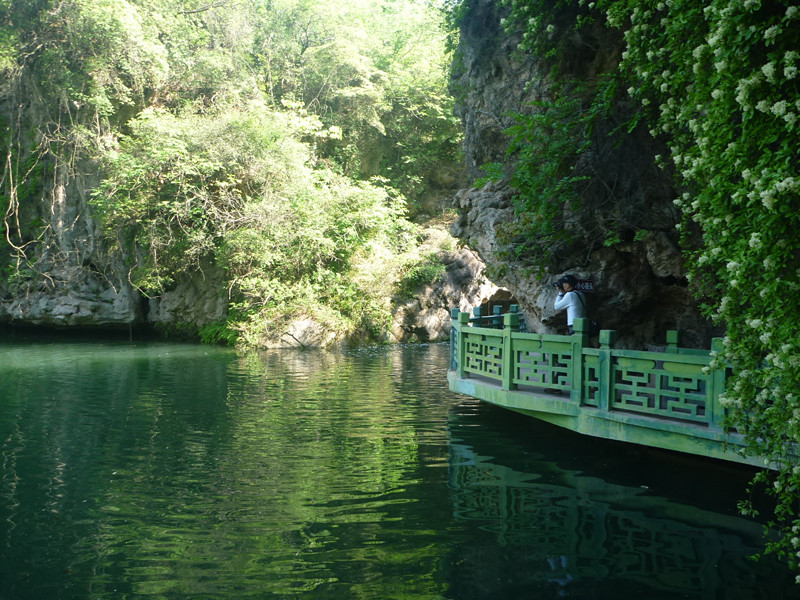 p1140952_.jpg