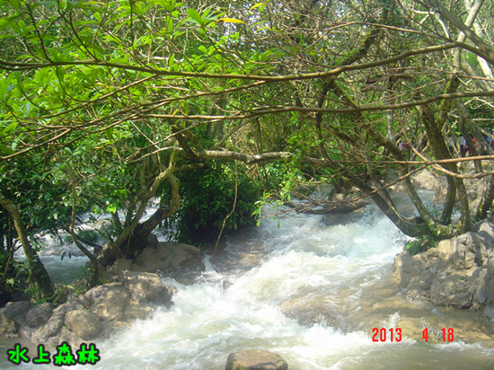 dsc02528_.jpg