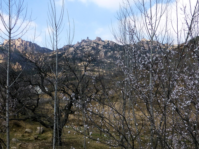 p1050609.jpg