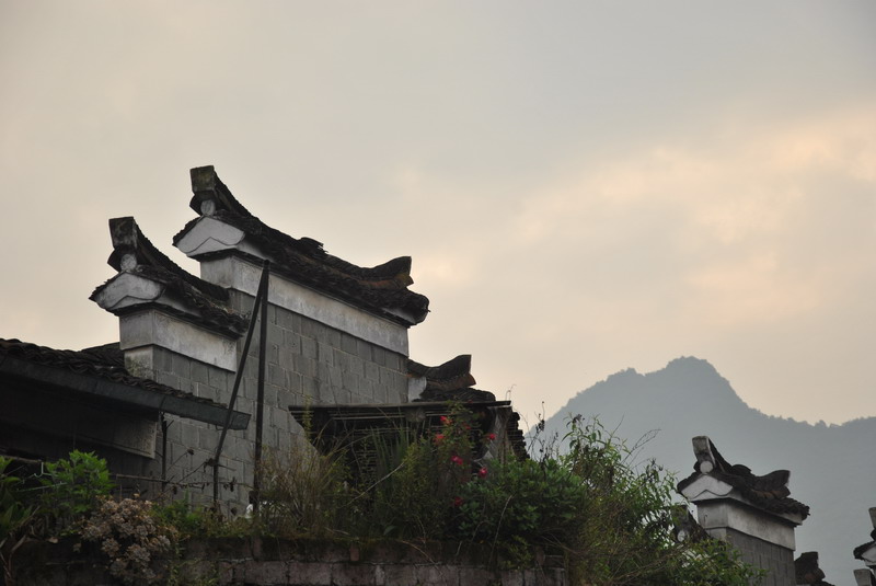 dsc_0343_С.jpg
