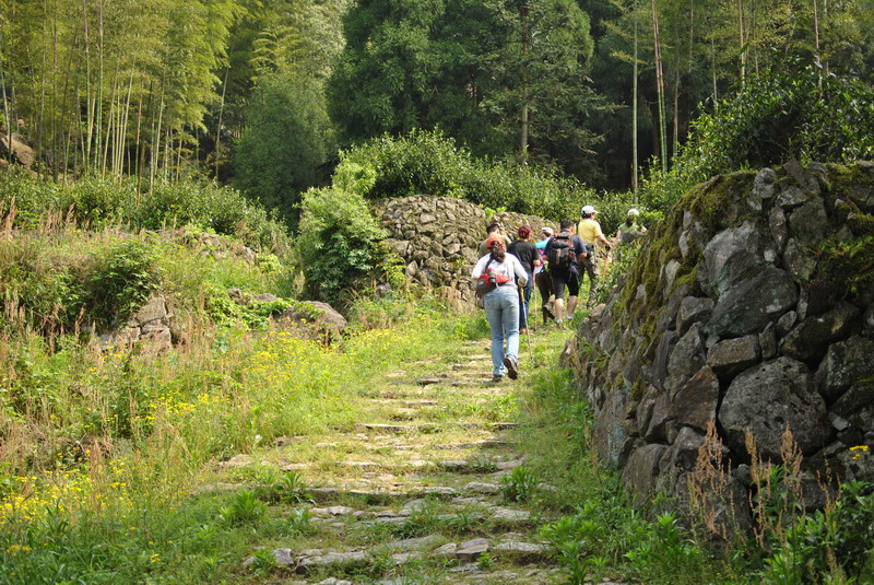 dsc_0384_С.jpg