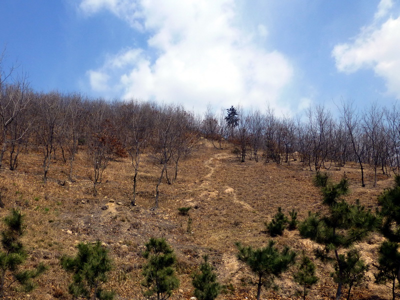 p1050625.jpg