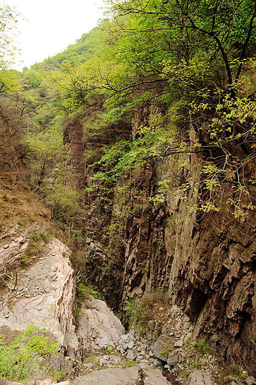 dsc_8514.jpg