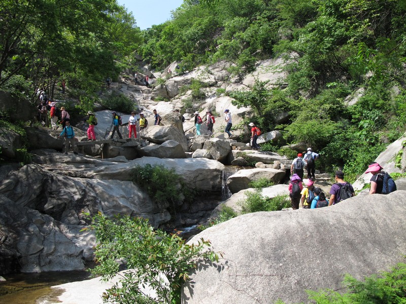 simg_8694.jpg