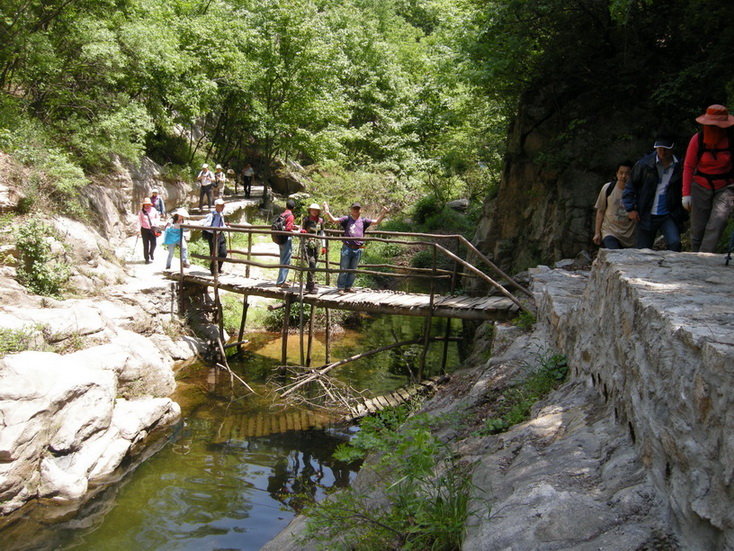 dscn8650.jpg