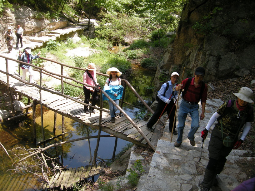 dscn8651.jpg