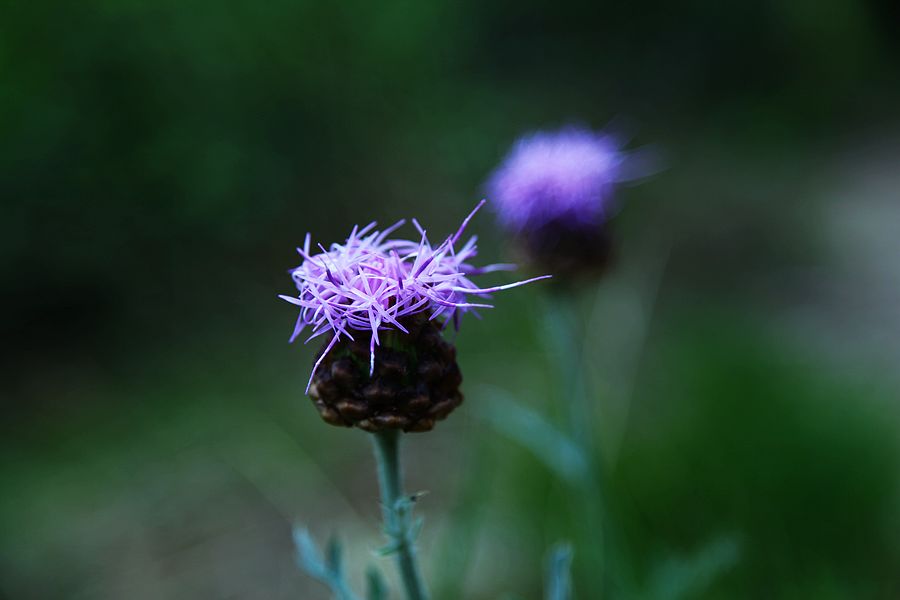 neo_img_img_2248.jpg