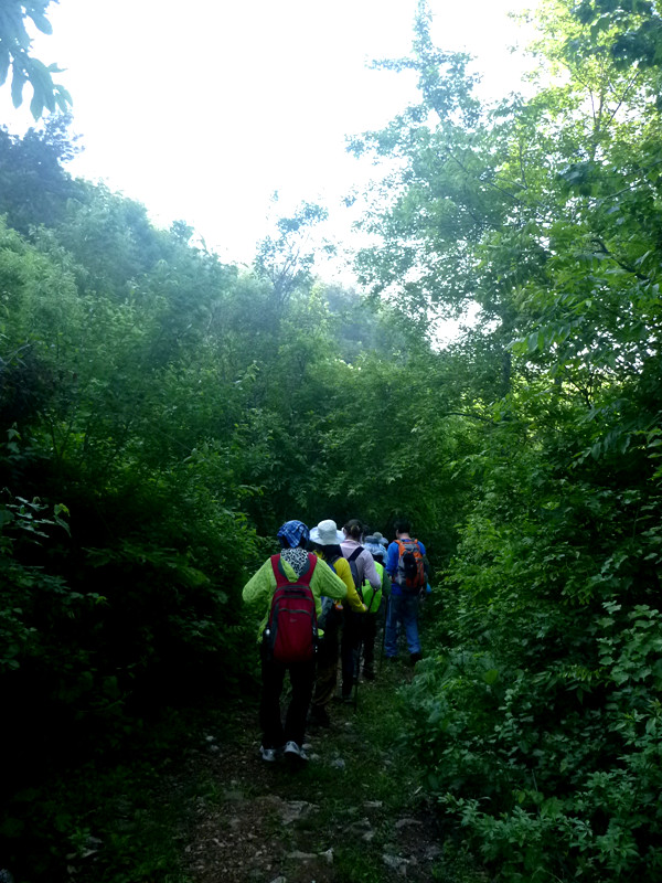 p1150017_.jpg